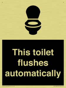 This toilet flushes automatically